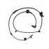 <strong>Датчик ABS BLUE PRINT ADA107112 (фото 1)</strong>