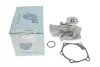 <strong>К-т помпи системи охолодження BLUE PRINT ADC49151 (фото 5)</strong>