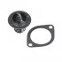 <strong>Термостат HYUNDAI (вир-во Blue Print) BLUE PRINT ADG09205 (фото 1)</strong>