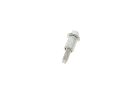 Болт Torx M6 спеціальний для BMW 11127802605 фото товару