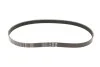 <strong>Пас поліклиновий 6РКХ1003 BMW 11287618848 (фото 1)</strong>