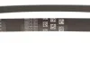 <strong>Пас поліклиновий 6РКХ1003 BMW 11287618848 (фото 3)</strong>