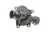 <strong>Термостат M47M57 BMW 11517805811 (фото 1)</strong>