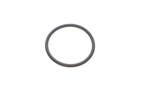 Кільце кр.31,0Х2,5 для BMW 27107537631 фото товару