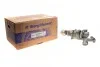 <strong>Турбіна BorgWarner 5439 988 0049 (фото 1)</strong>