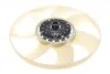<strong>Муфта вентилятора з крильчаткою BorgWarner AM-20004766-M (фото 5)</strong>