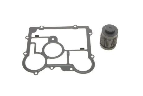 Фільтр АКПП для Volkswagen, Audi, Land Rover, Skoda, Volvo BorgWarner DS2006273 фото товару
