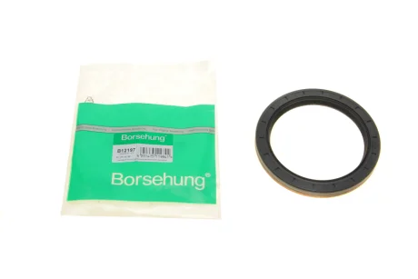 Сальник дифференціалу для Seat, Volkswagen, Audi Borsehung B12197 фото товару