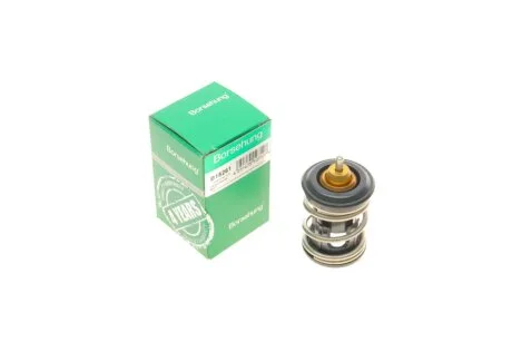 Клапан системи охолодження для Audi, Volkswagen, Seat Borsehung B18261 фото товару