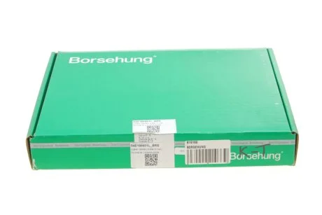 Клапана к-кт 6*6 (04E109601+04E109611L) (OE) для Seat, Volkswagen, Skoda, Audi Borsehung B19160 фото товару