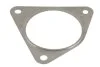 <strong>Прокладка випускної системи RENAULT CLIO III, ESPACE IV, GRAND SCENIC II, GRAND SCENIC III, KOLEOS I, LAGUNA, LAGUNA II, LAGUNA III, LATITUDE, MEGANE, MEGANE II, MEGANE III 1.4-2.0D 06.03- BOSAL 256-851 (фото 1)</strong>
