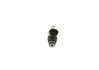 <strong>Паливний інжектор NISSAN JUKE, QASHQAI II, X-TRAIL III 1.6/2.0 06.10- BOSCH 026150004R (фото 1)</strong>