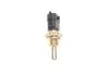 <strong>Датчик, температура охолоджуючої рідини BOSCH 0281002412 (фото 3)</strong>