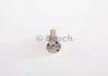 <strong>Розпилювач форсунки BOSCH 0433171200 (фото 2)</strong>