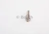 <strong>Розпилювач BOSCH 0433172232 (фото 3)</strong>