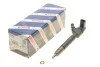 <strong>ІНЖЕКТОР BOSCH 0 445 110 181 (фото 1)</strong>