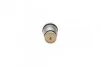 <strong>Клапан обмеження тиску, Common-Rail-System BOSCH 1110010028 (фото 2)</strong>