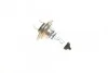 <strong>Автолампа галогенова 55W BOSCH 1 987 302 075 (фото 2)</strong>