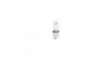 <strong>Лампа розжарювання H6W 12V 6W BAX9s PURE LIGHT (вир-во Bosch) BOSCH 1987302232 (фото 3)</strong>