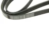 <strong>РЕМІНЬ П-КЛИНОВИЙ 6PK1920 BOSCH 1987946015 (фото 4)</strong>