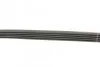 <strong>Ремінь п-клиновий 5pk813 (Вир-во Bosch) BOSCH 1 987 946 026 (фото 3)</strong>