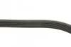 <strong>Ремень поликлиновый 7PK1088 BOSCH 1 987 946 032 (фото 3)</strong>