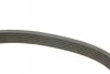 <strong>Ремінь П-клиновий 6PK1600 BOSCH 1987946060 (фото 3)</strong>