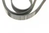 <strong>Ремінь П-клиновий 6PK1600 BOSCH 1987946060 (фото 4)</strong>