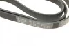 <strong>Ремінь П-клиновий 6PK1600 BOSCH 1987946060 (фото 5)</strong>