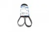 <strong>Ремінь поліклиновий 6PK1185 BOSCH 1987946063 (фото 1)</strong>