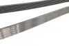 <strong>Ремінь п-клиновий 6pk1815 (Вир-во Bosch) BOSCH 1987946072 (фото 2)</strong>