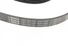 <strong>Доріжковий ремінь 6PK2285 BOSCH 1 987 946 082 (фото 2)</strong>
