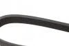 <strong>Доріжковий ремінь 5PK1219 BOSCH 1987946084 (фото 3)</strong>
