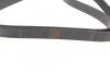 <strong>Доріжковий ремінь 6PK1590 BOSCH 1 987 946 096 (фото 2)</strong>