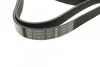 <strong>Доріжковий ремінь 6PK1540 BOSCH 1987946099 (фото 2)</strong>