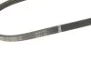 <strong>Доріжковий ремінь BOSCH 1987946129 (фото 4)</strong>