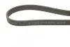 <strong>Ремень П-клиновой 7DPK1360 (двухсторон.) FORD Galaxy 2,8i VW 2,8/2,9i: Golf III, Sharan BOSCH 1987946204 (фото 4)</strong>