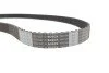 <strong>К-Т ЗУБЧАТИХ РЕМЕНІВ + РОЛИКИ BOSCH 1987946595 (фото 10)</strong>