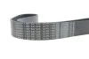 <strong>Ремень 10PK1145 BOSCH 1987947038 (фото 4)</strong>