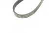 <strong>Ремінь поліклінової 4PK1100 BOSCH 1987947863 (фото 5)</strong>