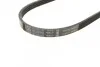 <strong>Поліклиновий ремінь HONDA / ACURA BOSCH 1987947895 (фото 2)</strong>