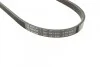 <strong>Поліклиновий ремінь HONDA / ACURA BOSCH 1987947895 (фото 3)</strong>