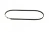 <strong>Поліклиновий ремінь HONDA / ACURA BOSCH 1987947895 (фото 5)</strong>