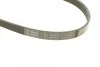 <strong>Ремінь генератора BMW3 (E46) 98-05 BOSCH 1987947911 (фото 4)</strong>