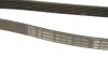 <strong>Ремінь поліклиновий 6PK2604 Grand Cherokee II BOSCH 1987948335 (фото 5)</strong>