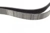 <strong>Ремень 7PK2875 FORD Transit 2.4 TDCi BOSCH 1987948401 (фото 2)</strong>