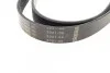 <strong>Ремень 7PK2875 FORD Transit 2.4 TDCi BOSCH 1987948401 (фото 3)</strong>