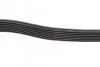 <strong>Ремень 7PK2875 FORD Transit 2.4 TDCi BOSCH 1987948401 (фото 4)</strong>