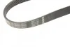 <strong>Ремінь BOSCH 1987948430 (фото 5)</strong>