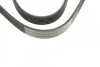 <strong>Ремінь п-клиновий 6pk1130 (Вир-во Bosch) BOSCH 1987948440 (фото 3)</strong>